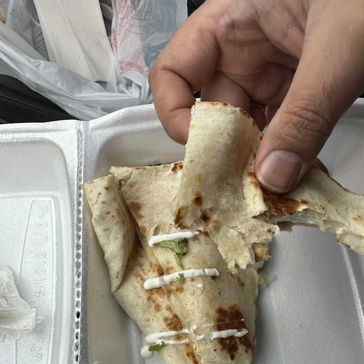 Quesadilla Mexicana
