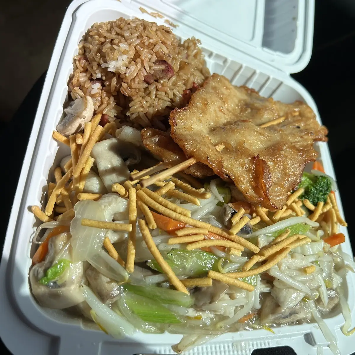 Chicken Chow Mein w Chicken Teriyaki