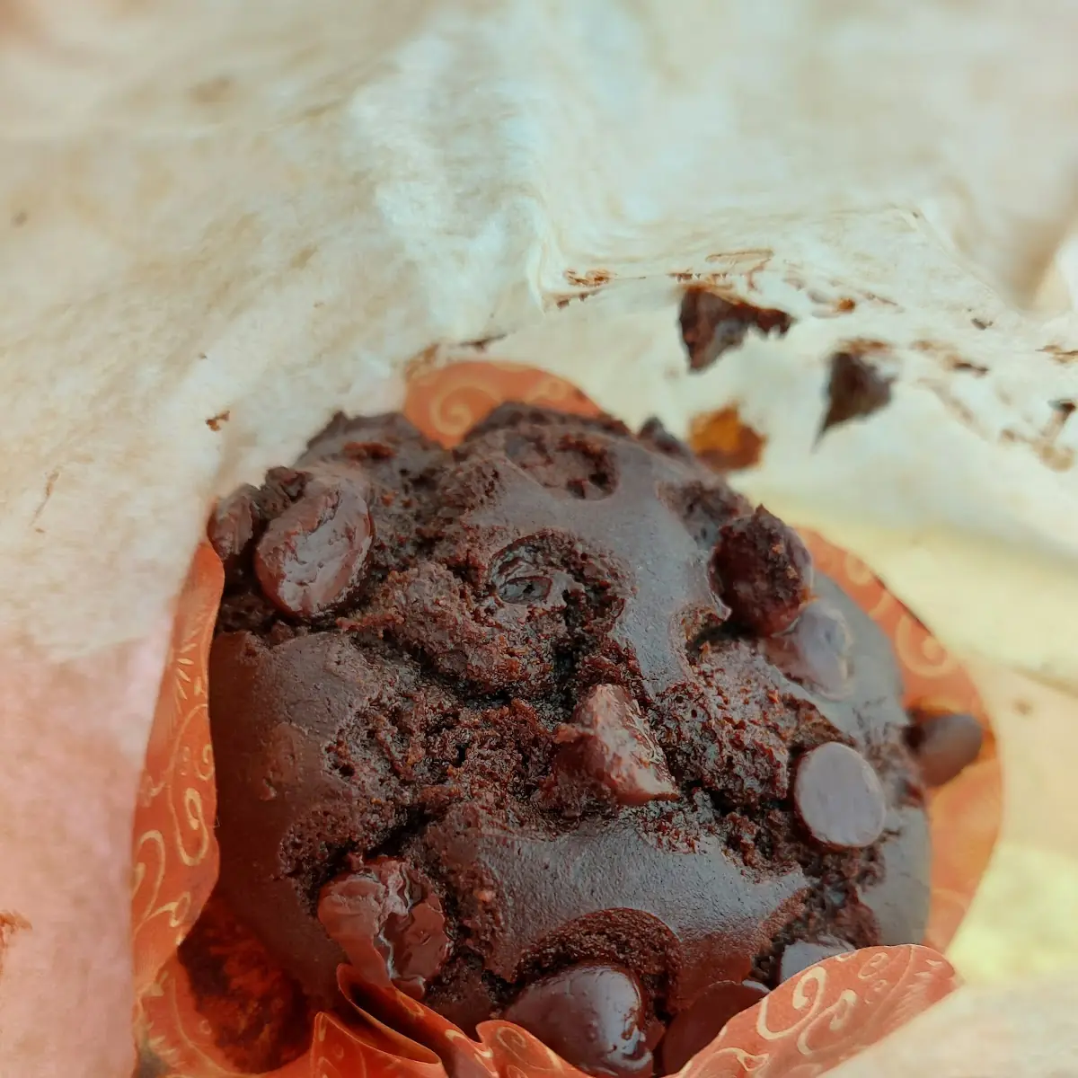 Banana Chocolate Loaf Cake