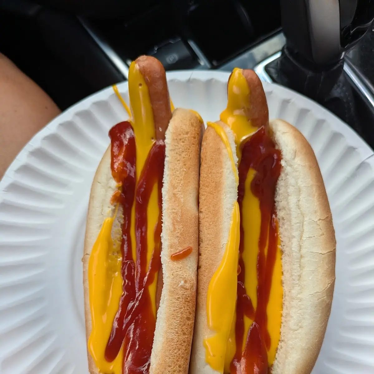 Hot Dog with Cheese & Ketchup
