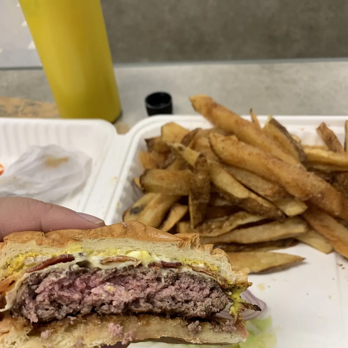 Patty Melt & Fries