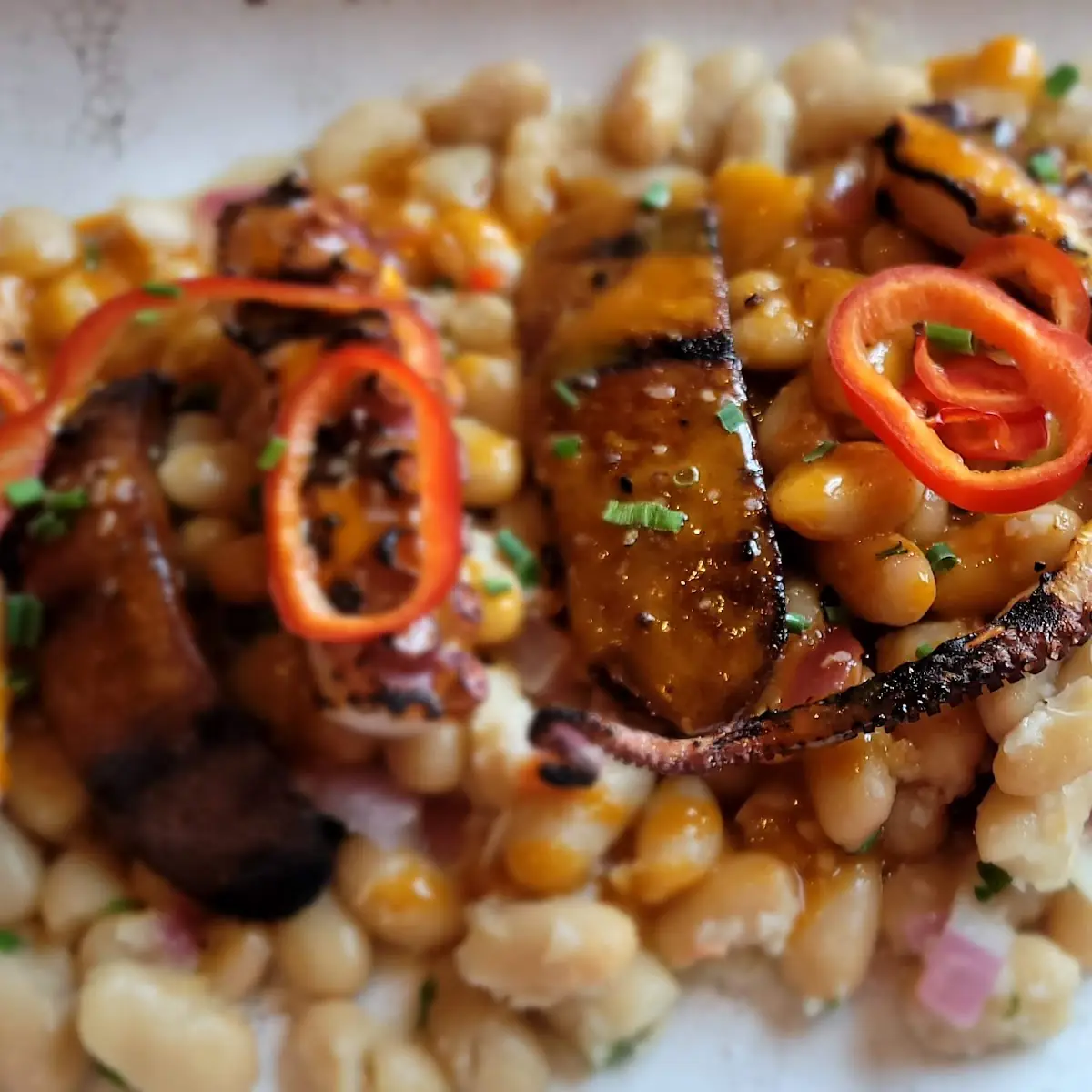 Grilled Octopus