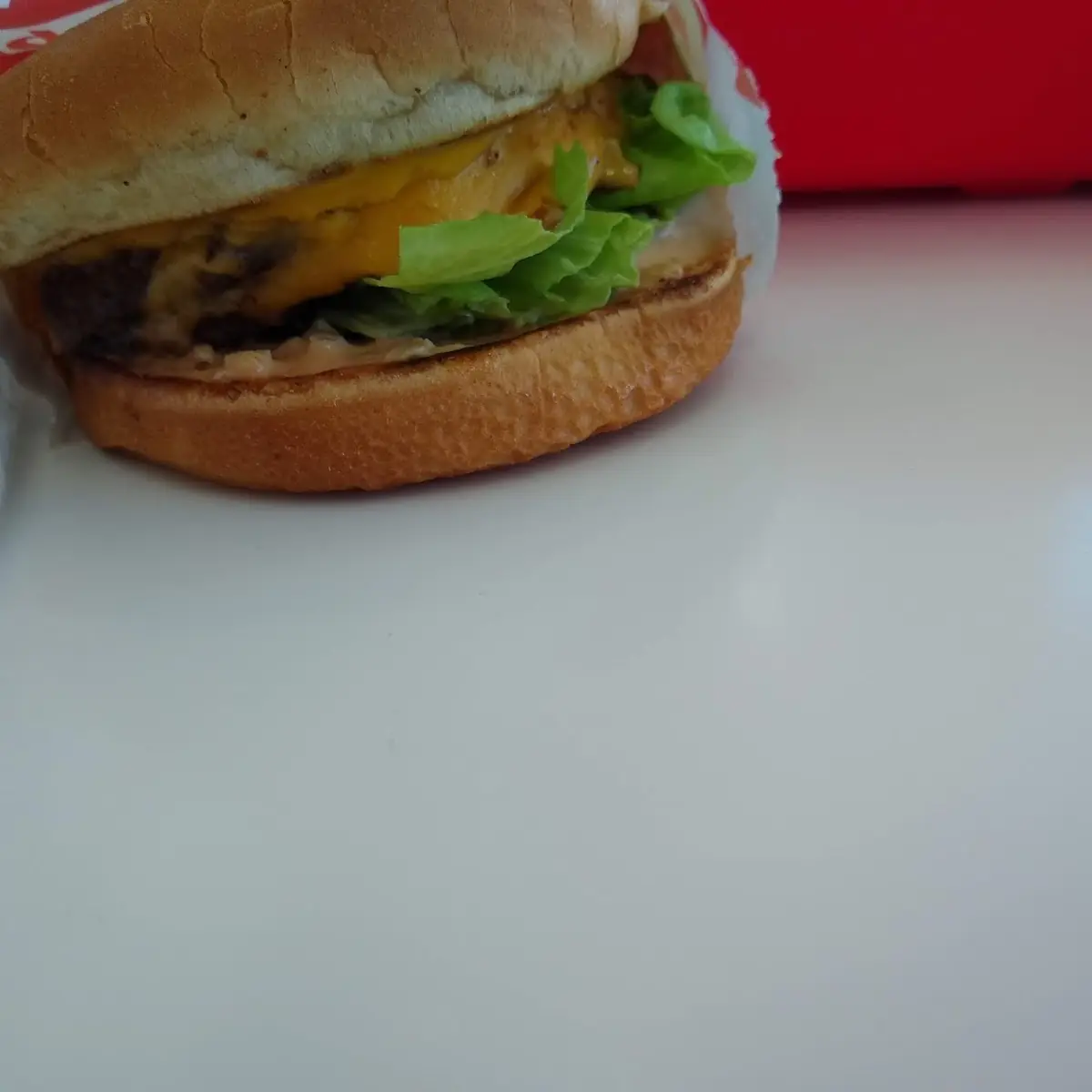 Animal Style Double Cheeseburger