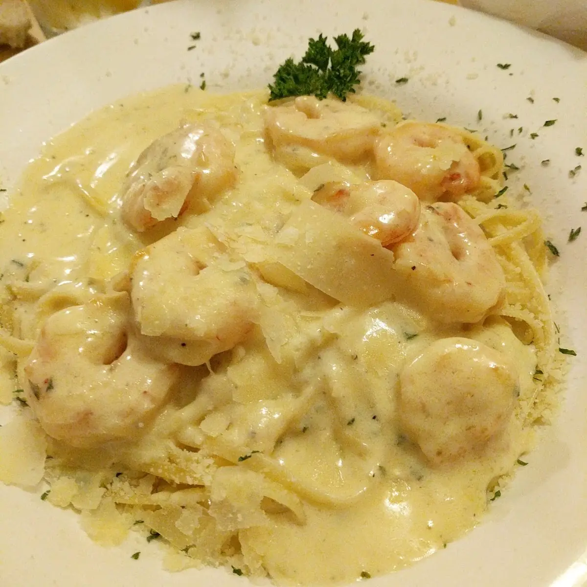 Shrimp Alfredo