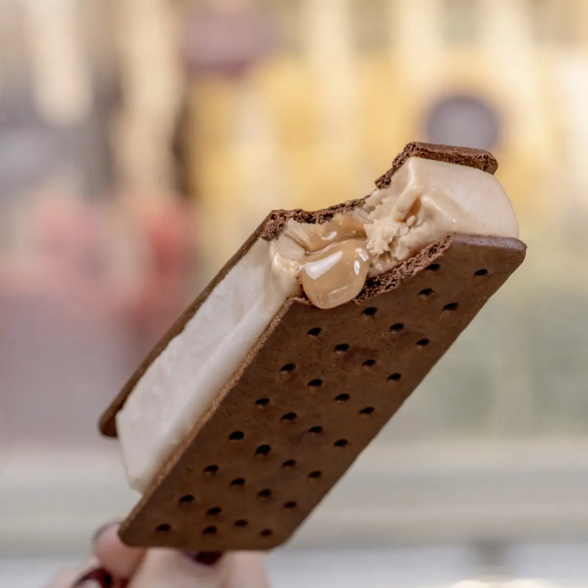Chocolate Wafer Sandwich