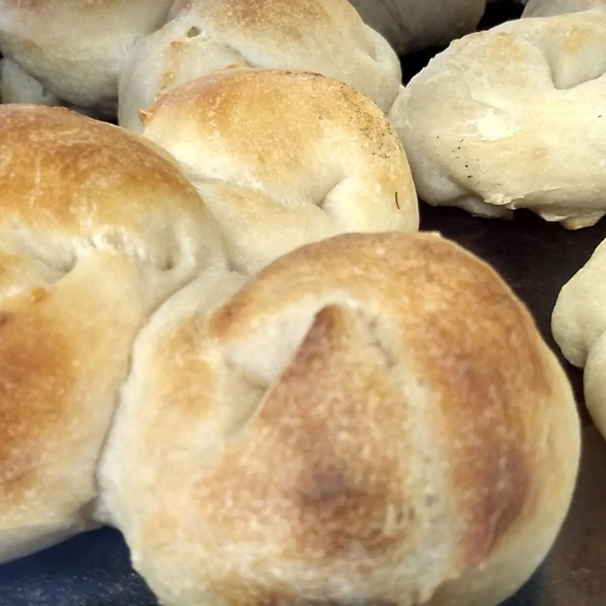 Garlic Knots 4