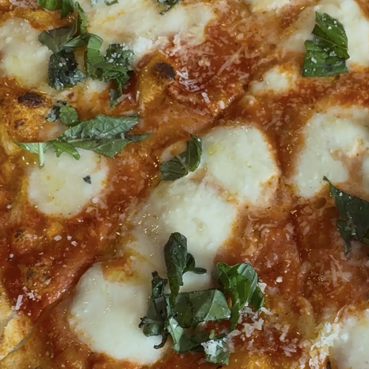 Margherita Pizza