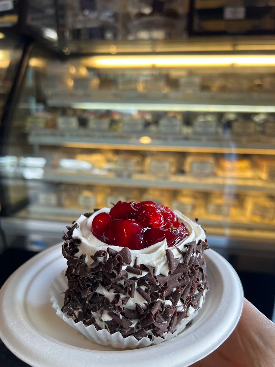 Black Forest Cake