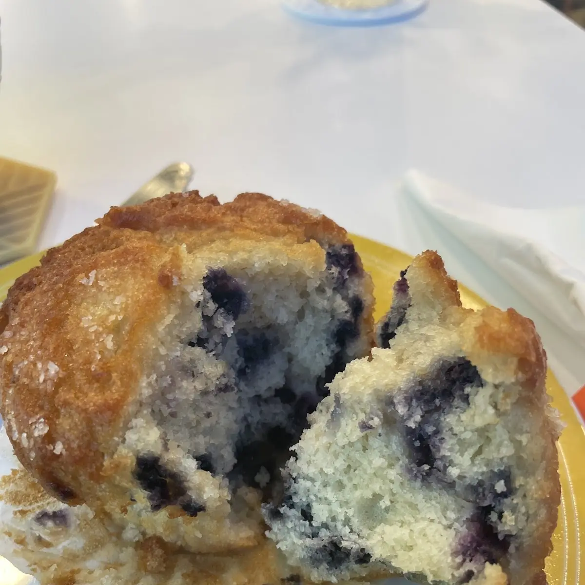 Blueberry Muffin