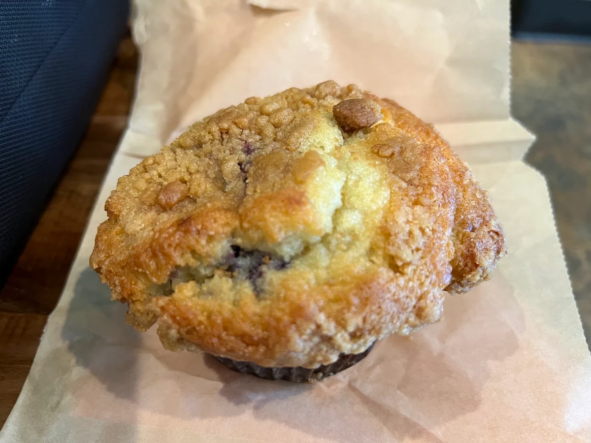 Blueberry Muffin