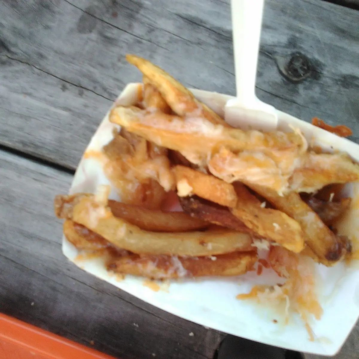 Gravy Fries