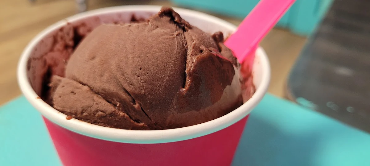 Vegan Chocolate Ice Cream