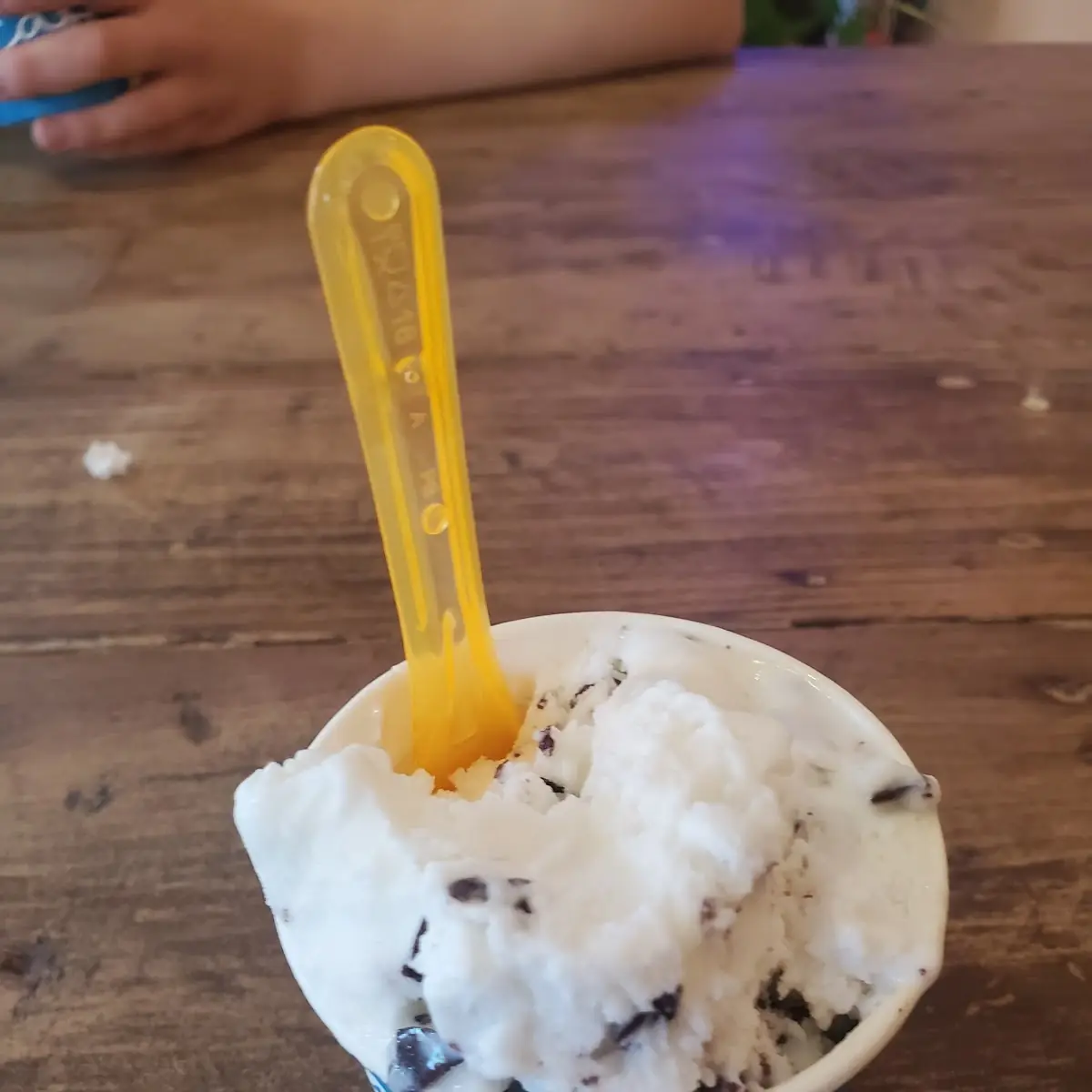 Chocolate Chip Gelato