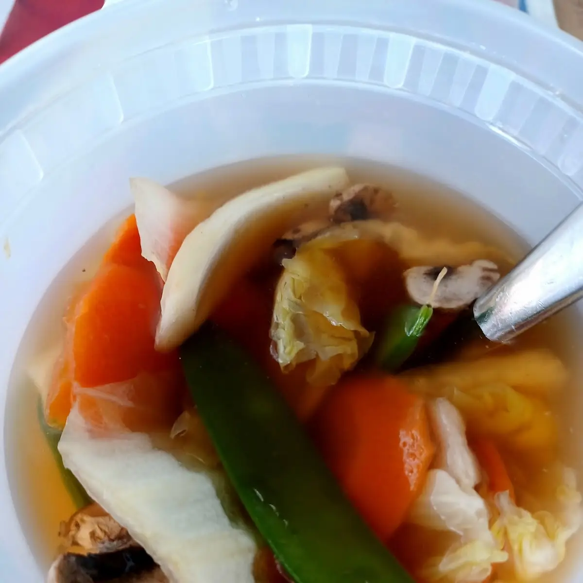 Vegetable Soup