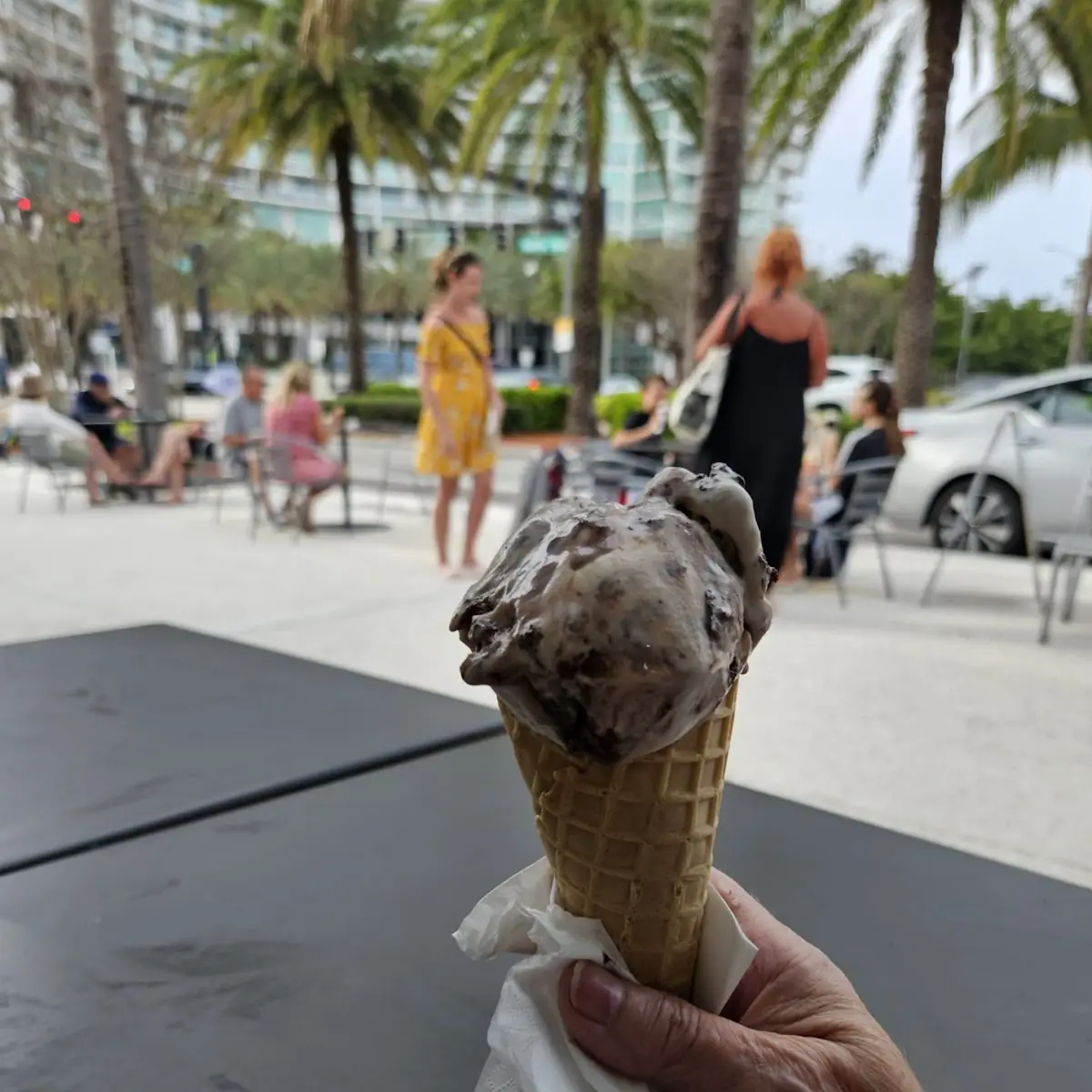 Cookie Dough with Chocolate Chips