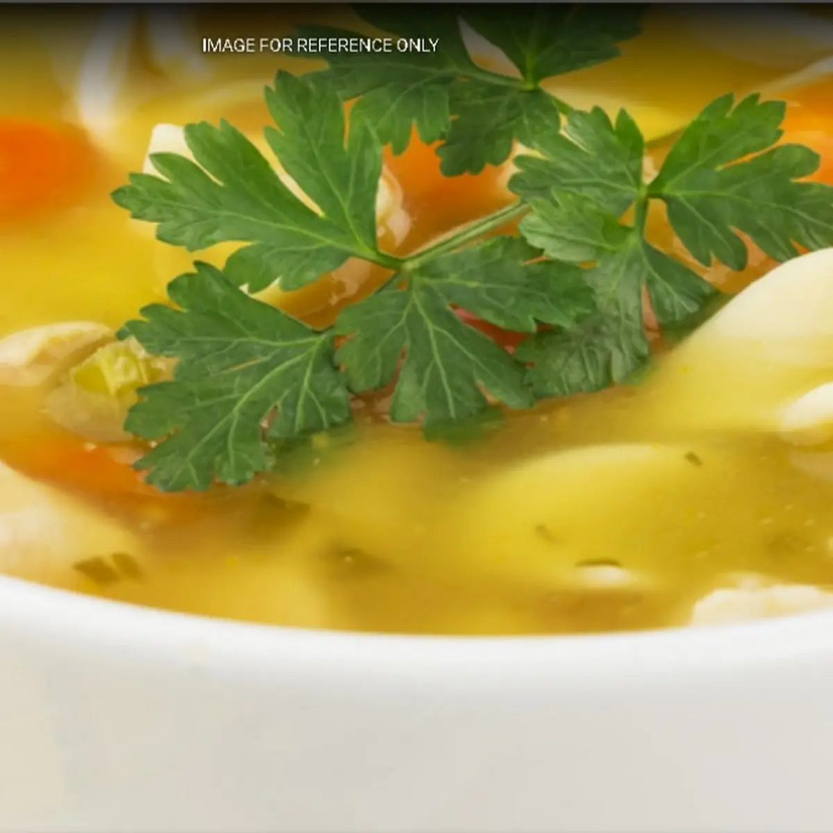 Chicken Noodle Soup