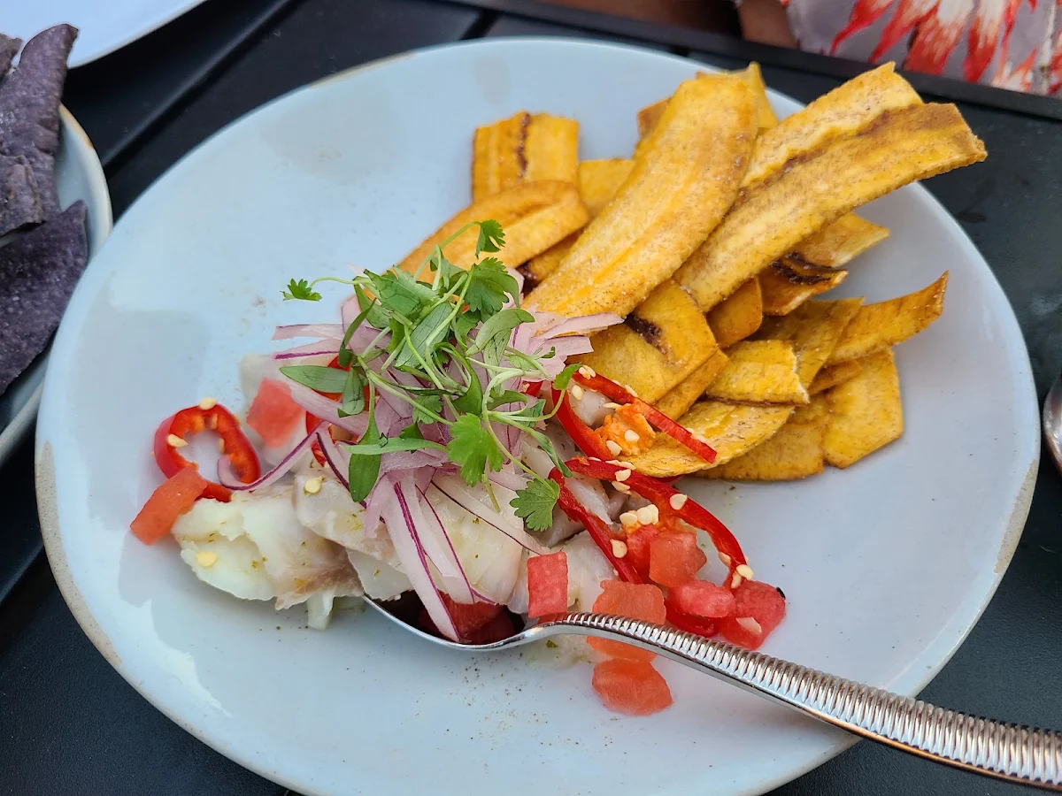 Ceviche