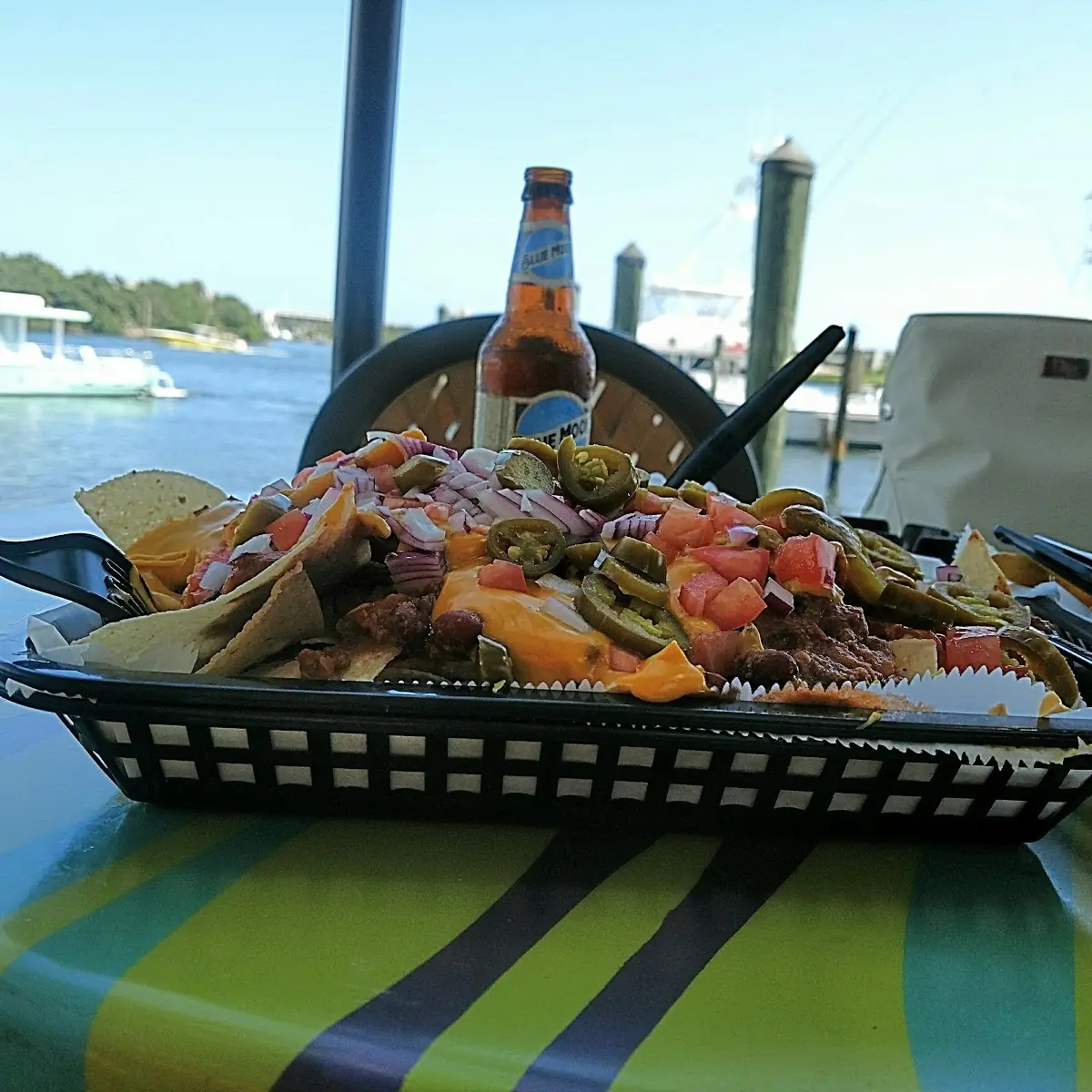 Loaded Nachos