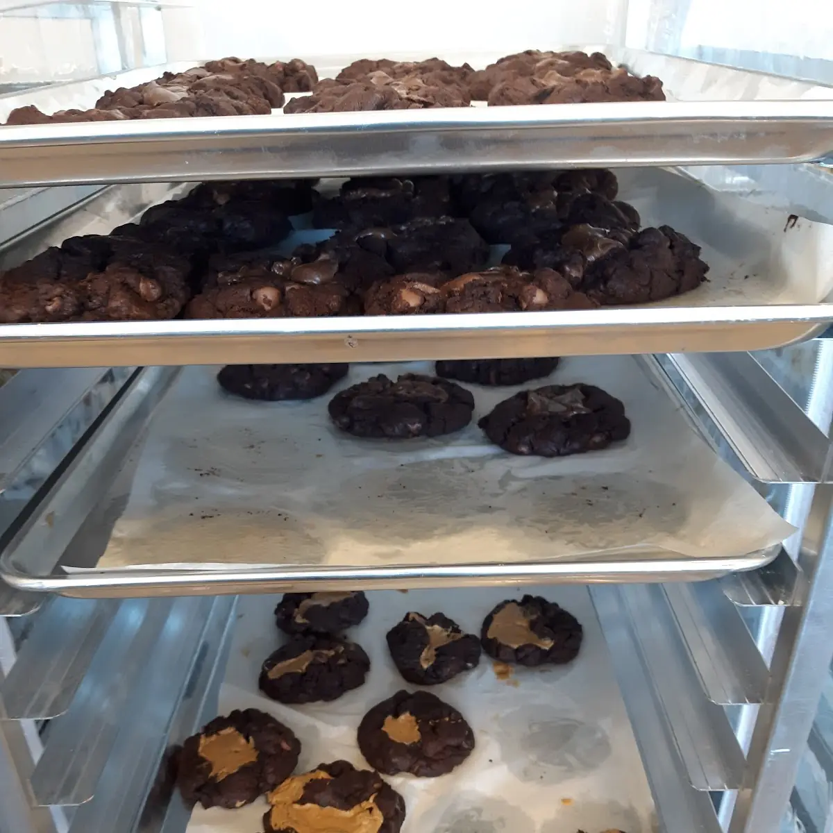Chocolate Brownie