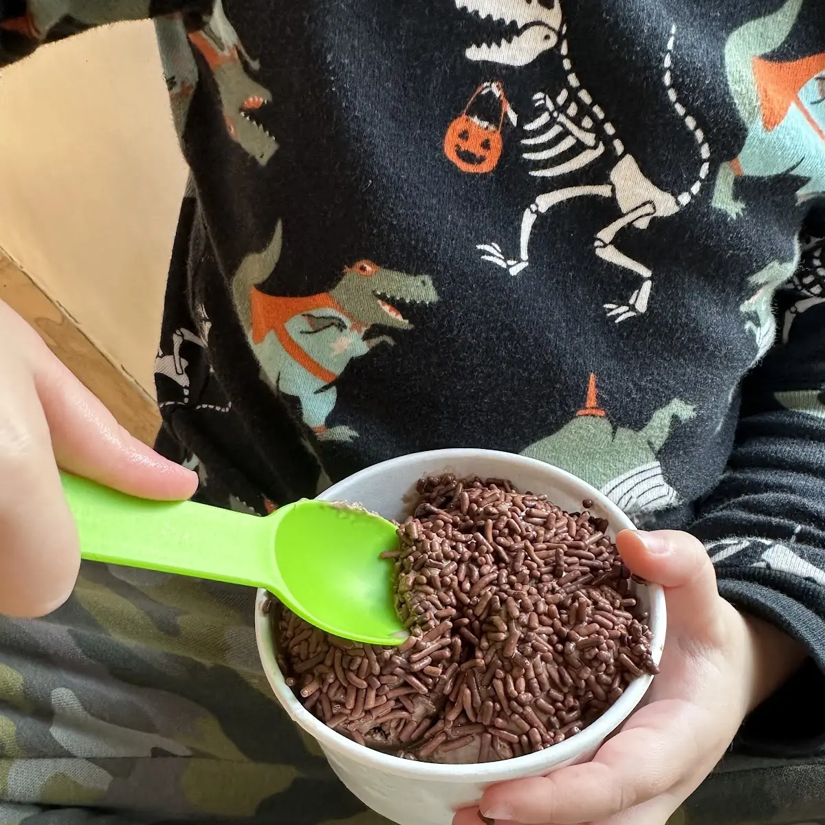 Chocolate Ice Cream with Chocolate Sprinkles