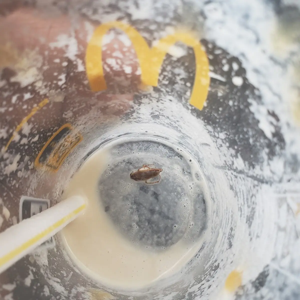 Derpy Mcflurry