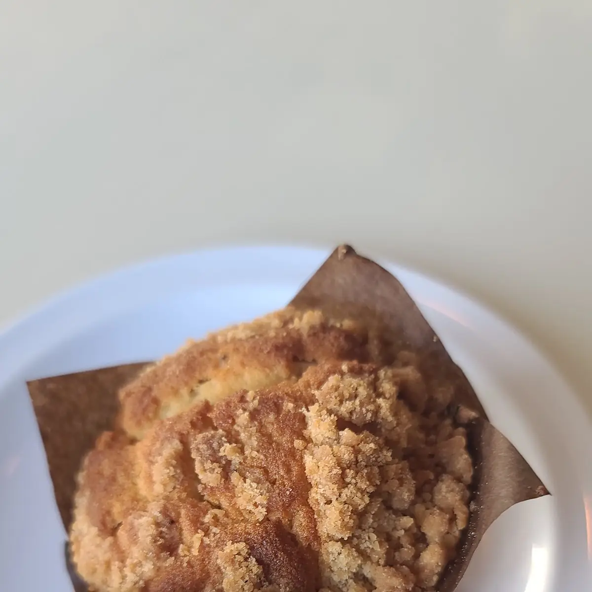 Blueberry Muffin