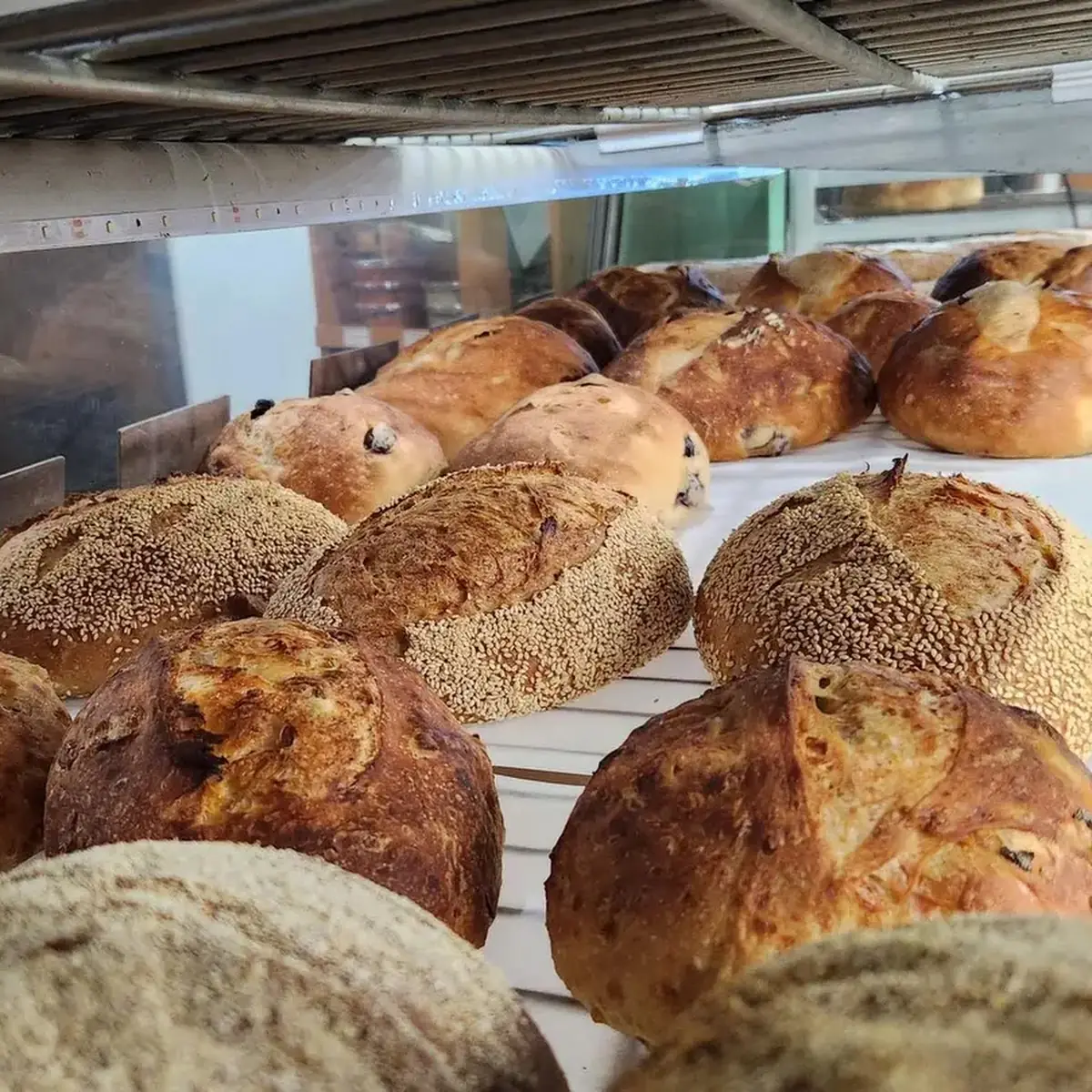 Sourdough Bread