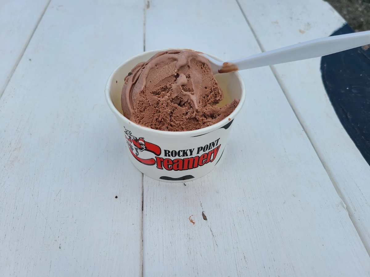 Chocolate Ice Cream