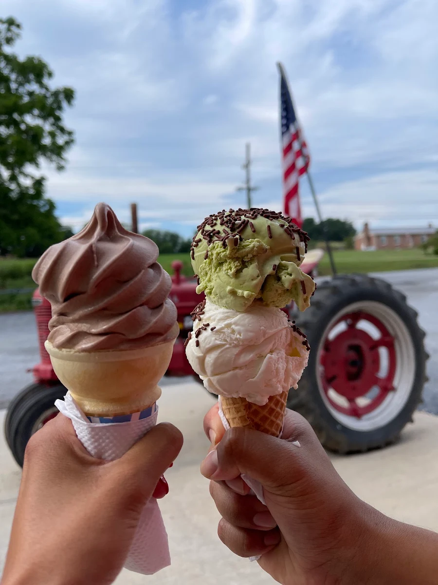 Gelato
