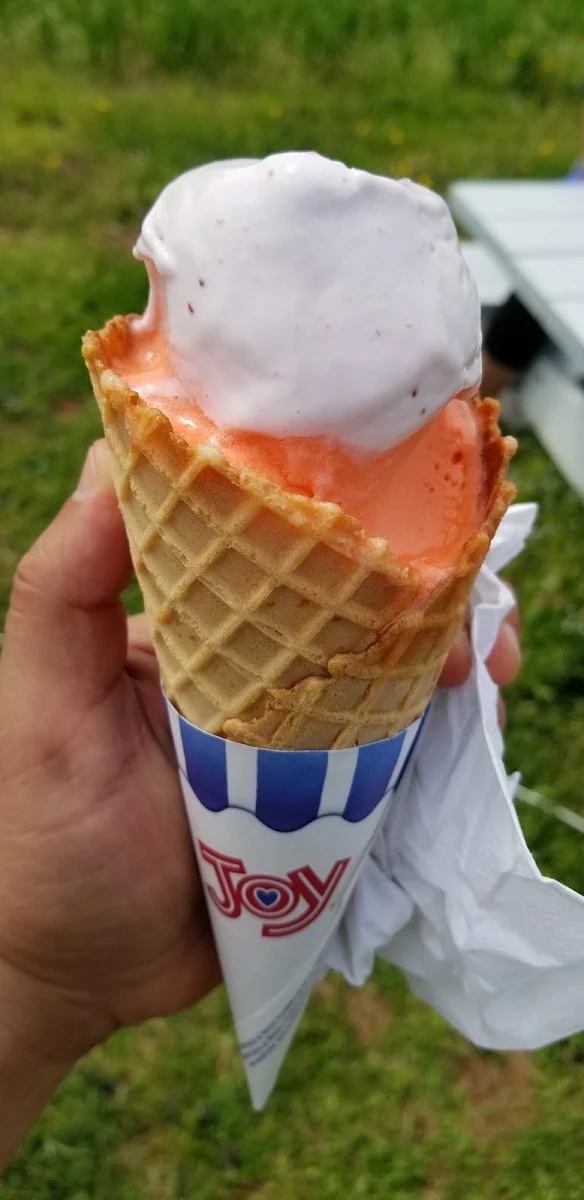 Orange Waffle Cone