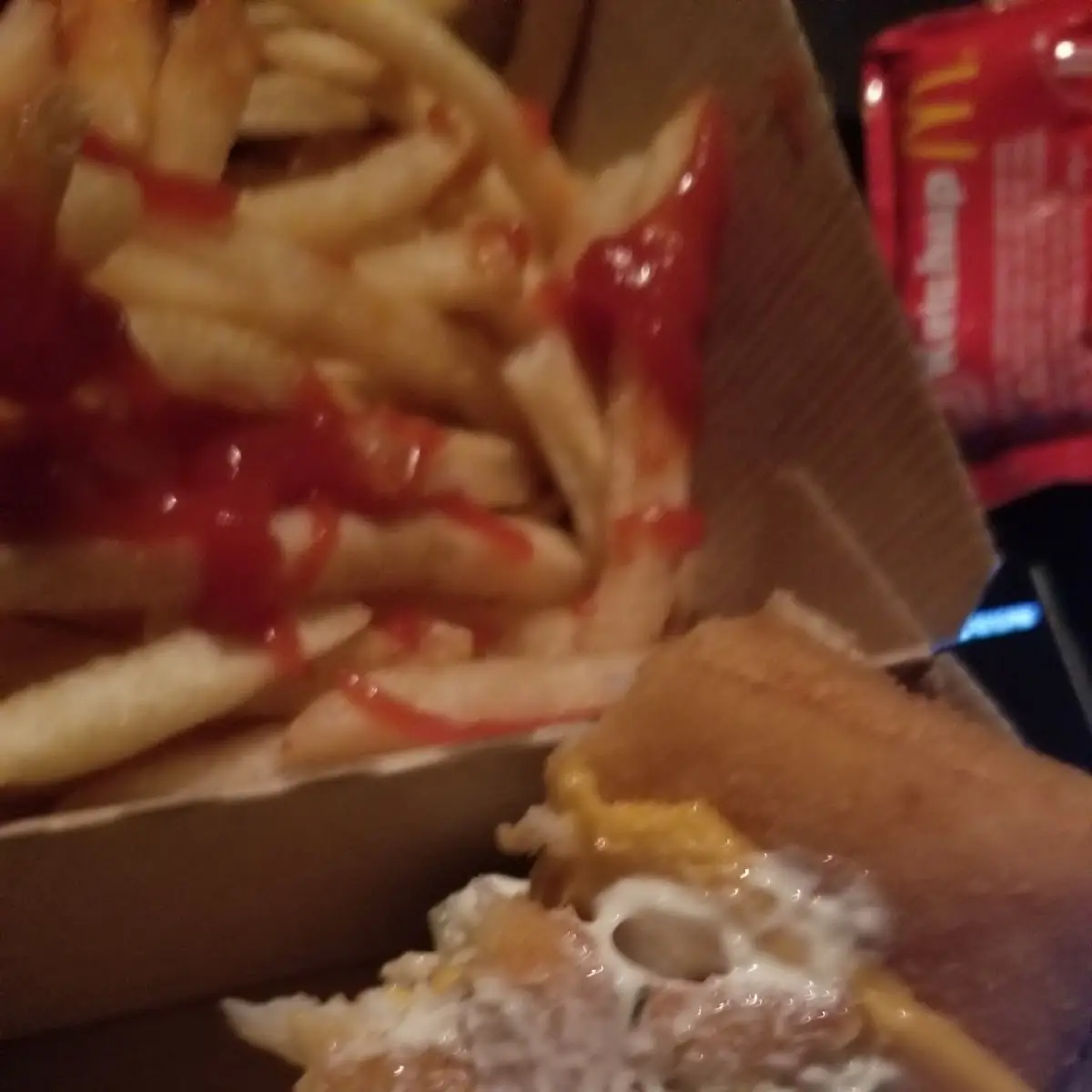 World Famous Fries