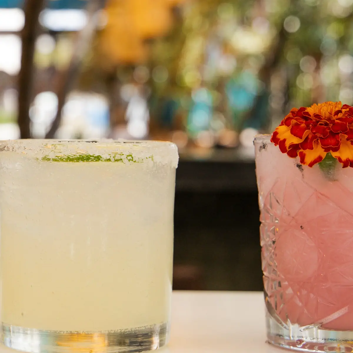 House Margarita