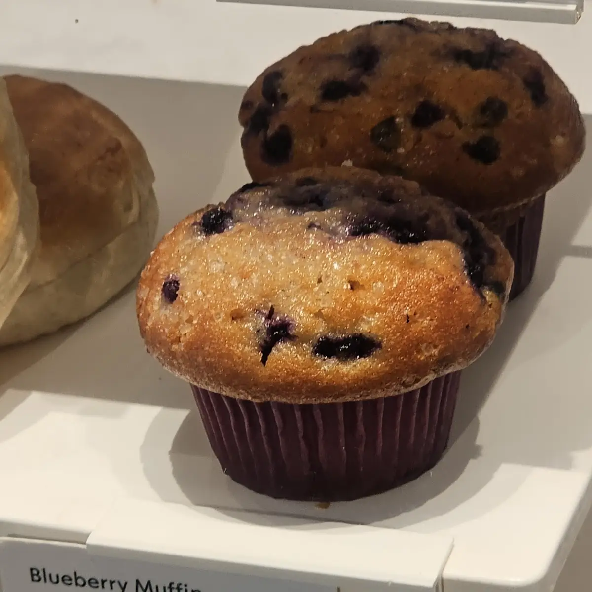 Blueberry Muffin