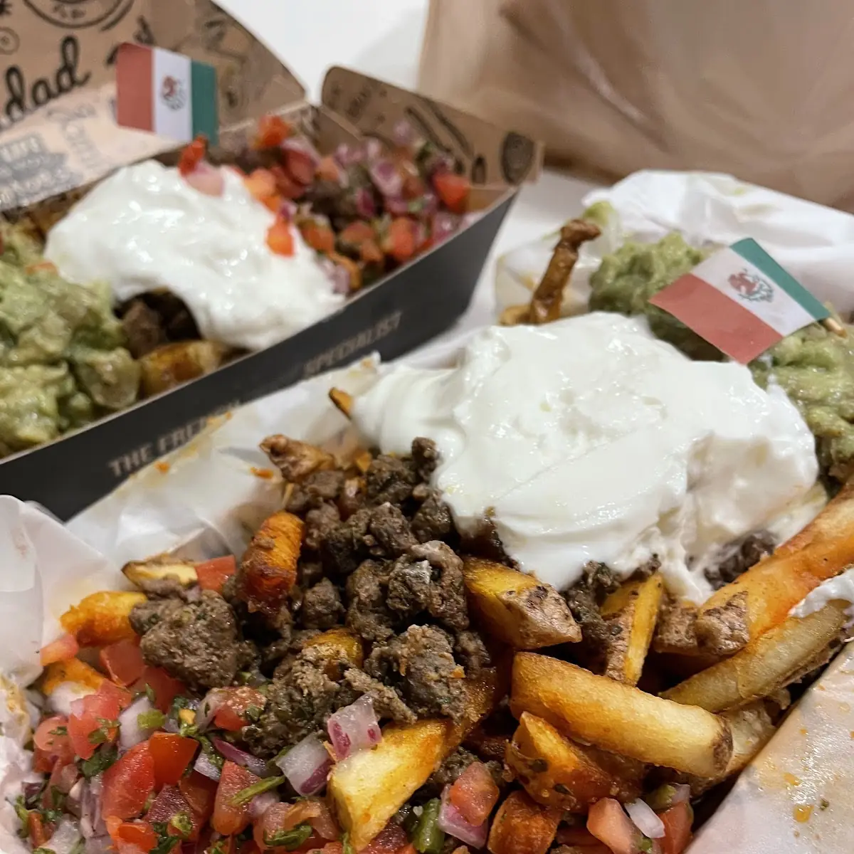 Carne Asada Fries