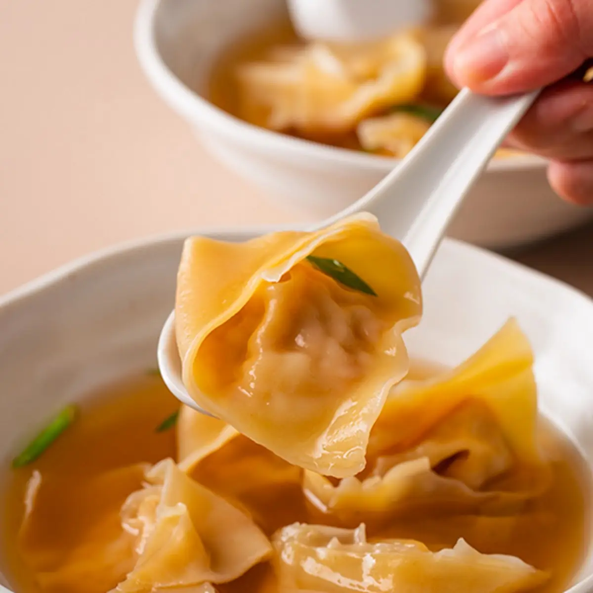 Wonton Soup