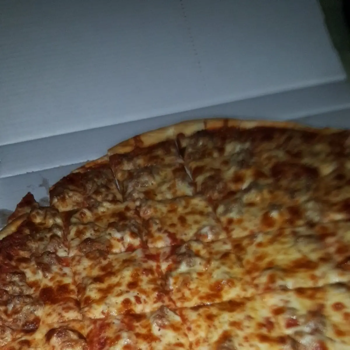 Large Sausage Pizza