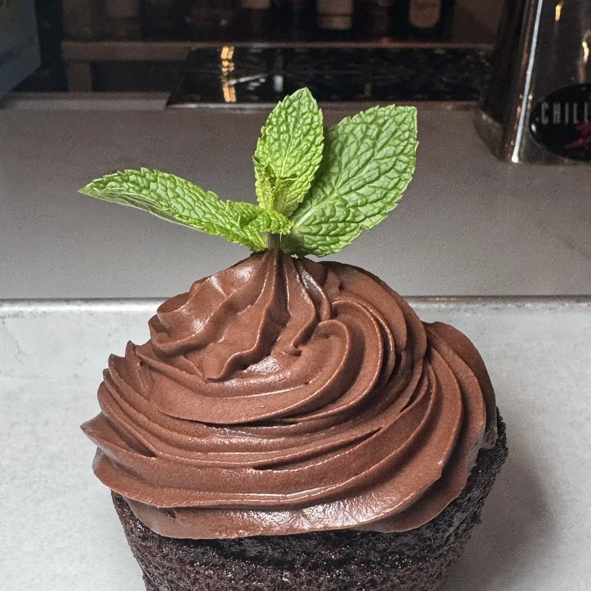 Chocolate Cupcake