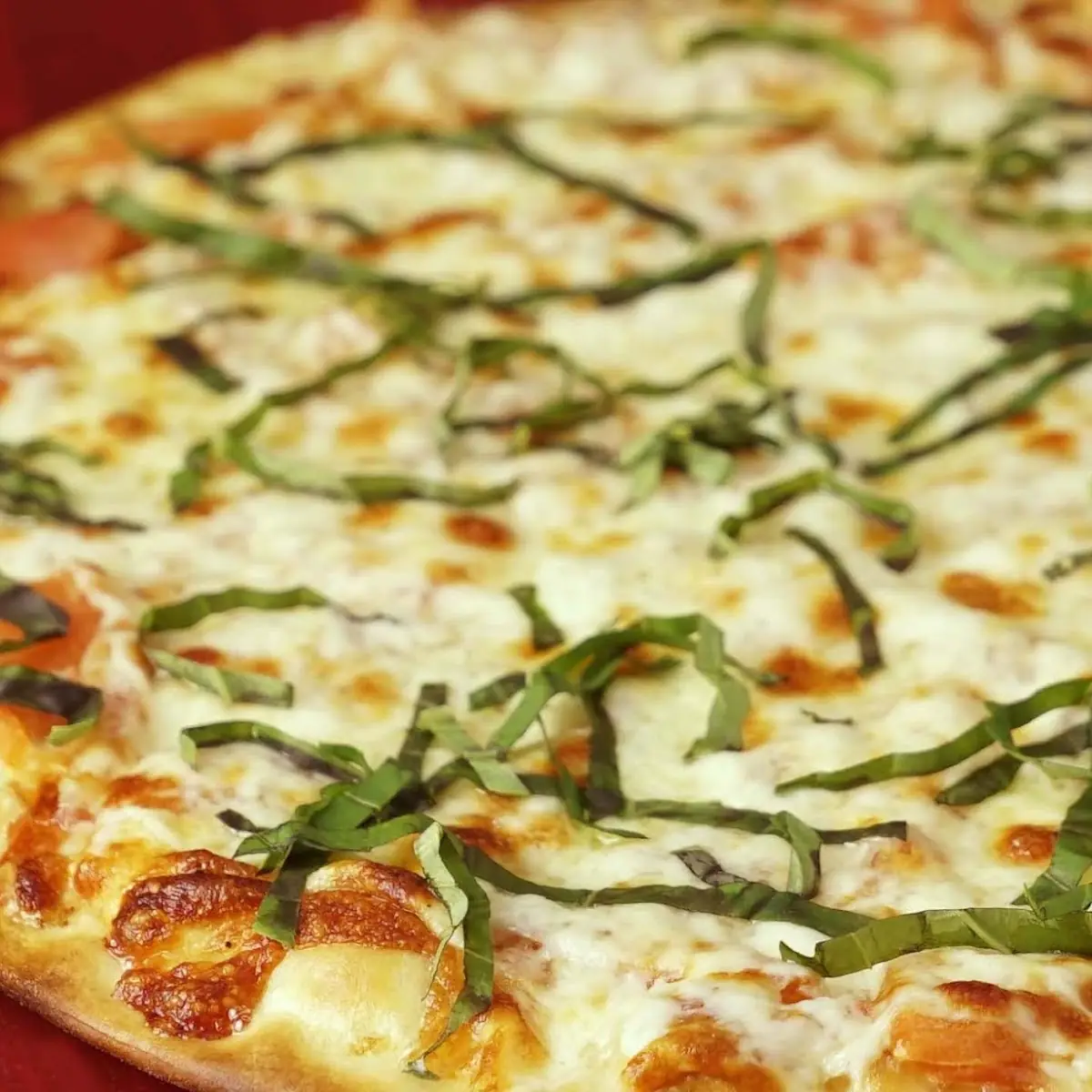 White Pizza