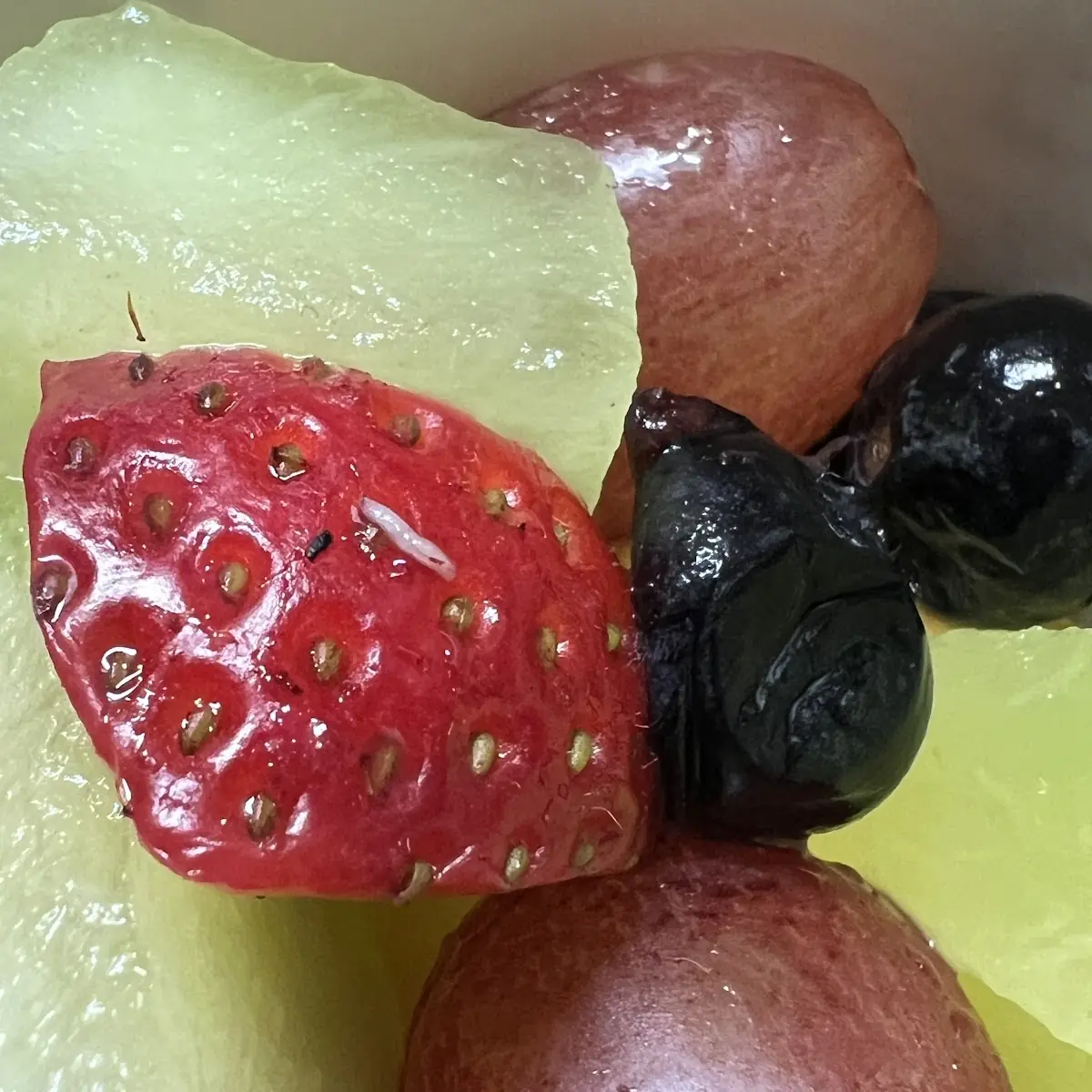 Fresh Seasonal Fruit