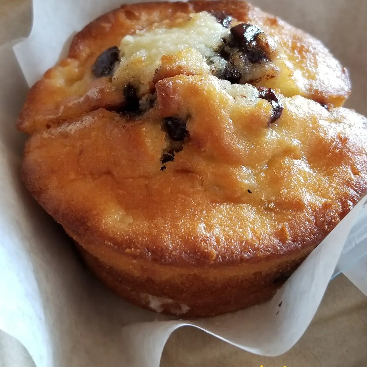 Choco Chip Muffin