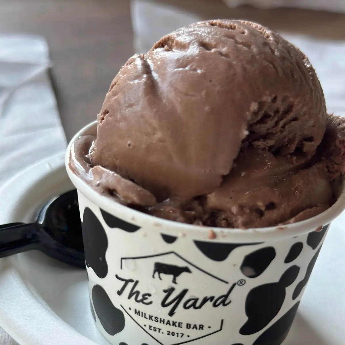 Chocolate Ice Cream