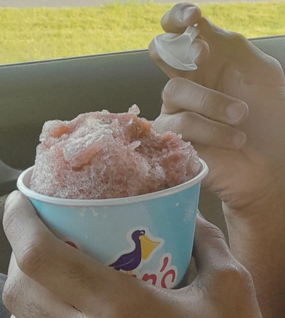 Shaved Ice