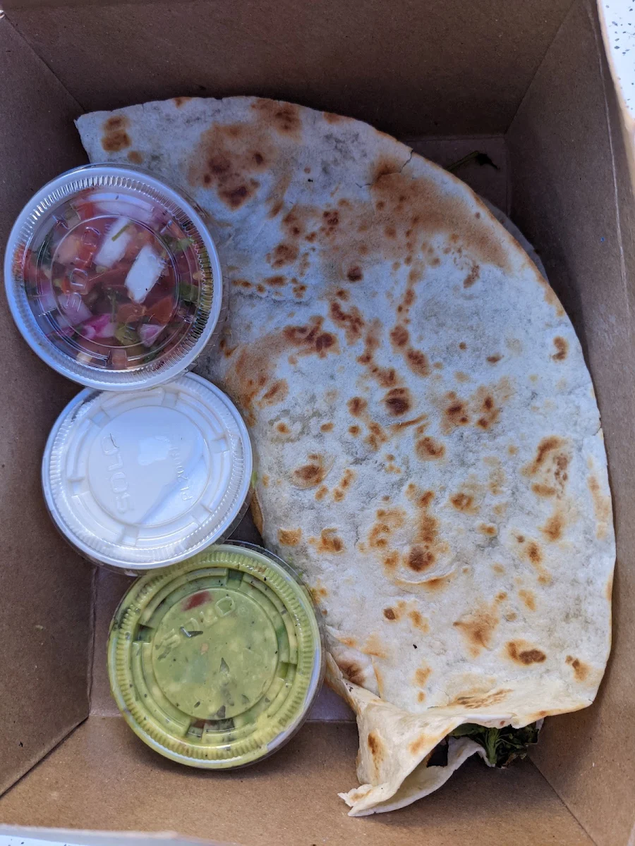 Stuffed Chicken Quesadilla
