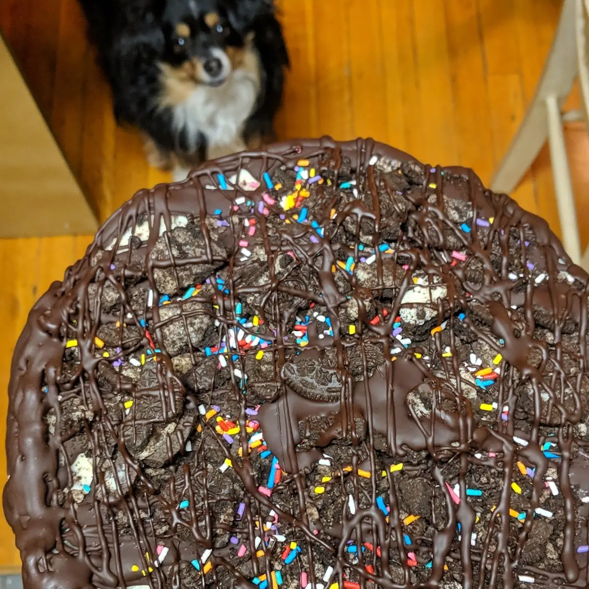 My Birthday Cake