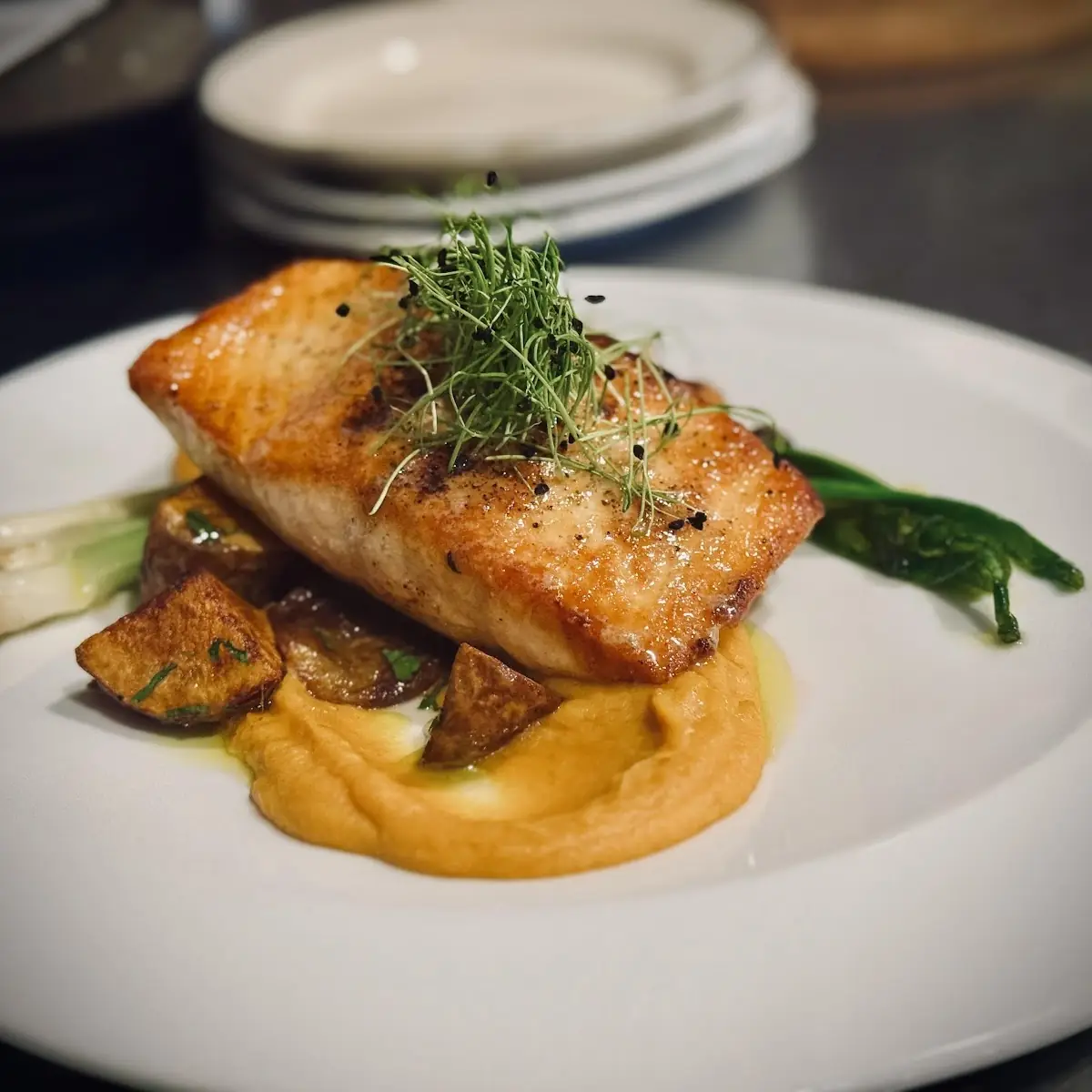 Seared Salmon