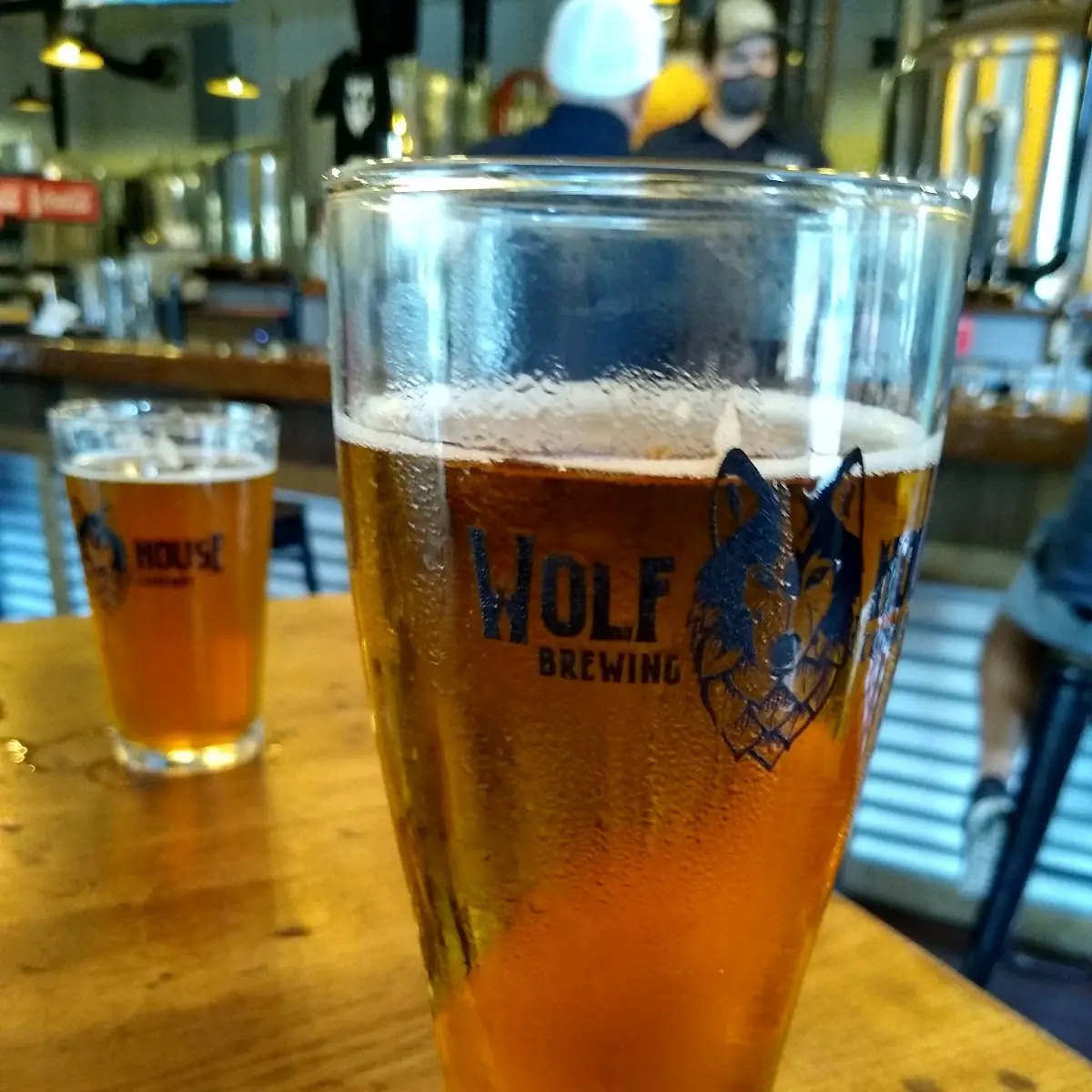 IPA Beer