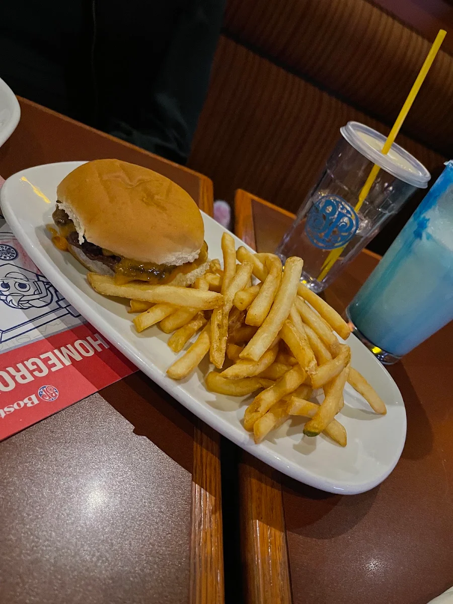 Burger and French Fries