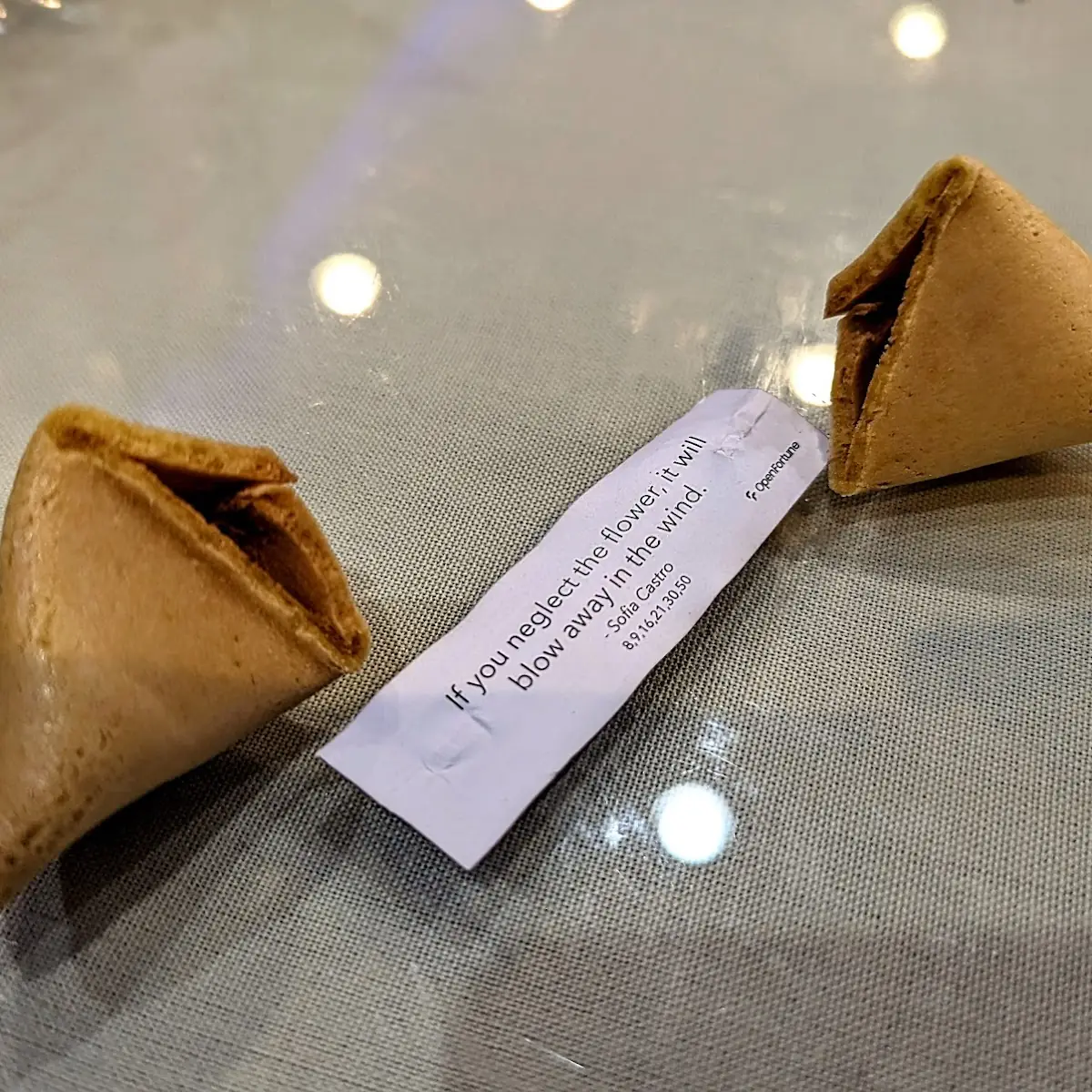 Fortune Cookie