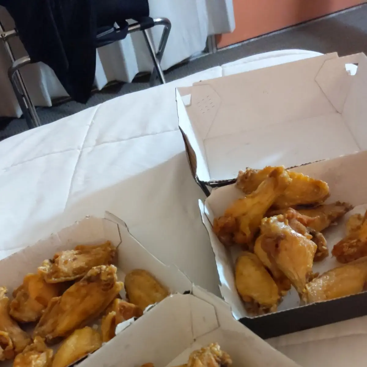 Plain Wings