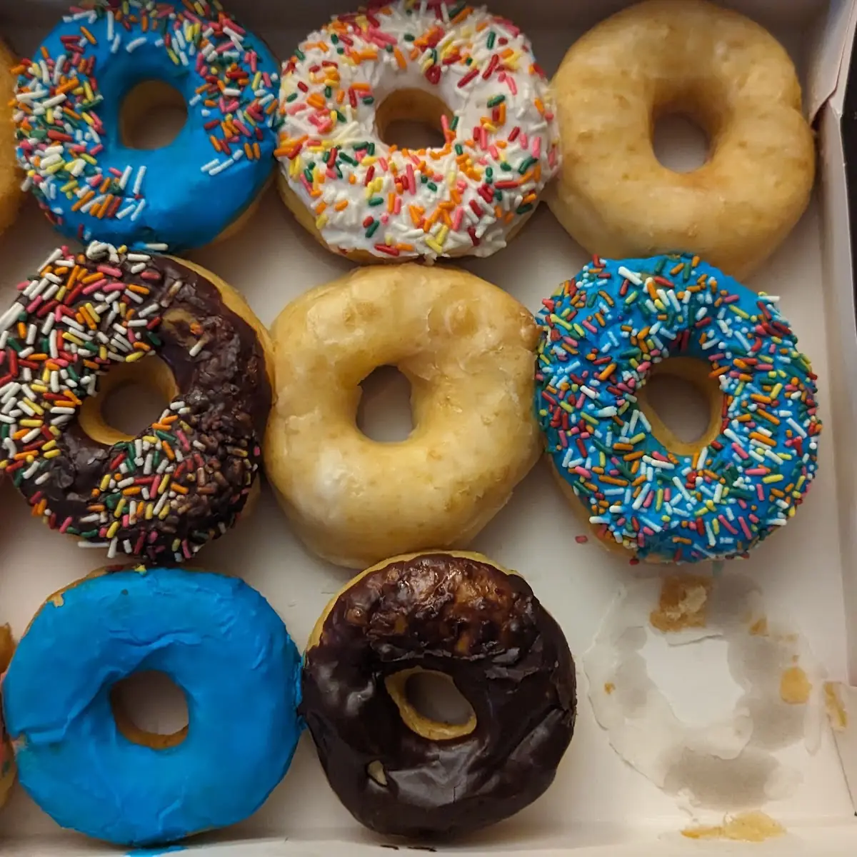 Doughnut